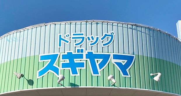 ドラッグスギヤマ 津島北店（270m）