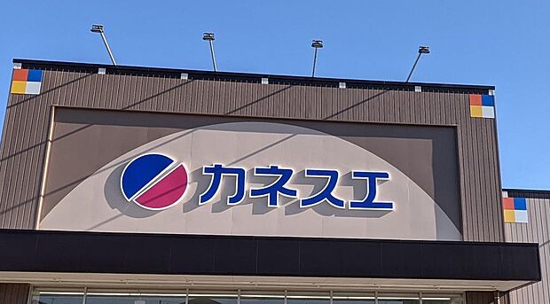 カネスエ津島愛宕店(332m)