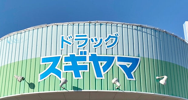 ドラッグスギヤマ 中島新町店(290m)