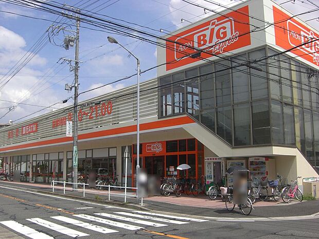 ザ・ビッグエクスプレス 日比津店(260m)