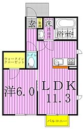 シェソワIID 1階1LDKの間取り