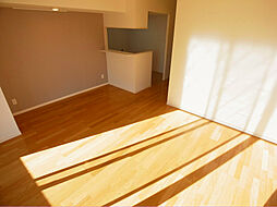 アヴェニール柏の葉 205