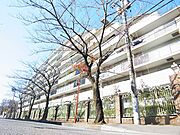 新柏駅より徒歩2分 8階 築35年10ヶ月の賃貸物件