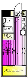 サンライズ北柏 1階