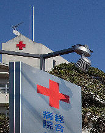 画像20:国立がんセンター東病院（1158m）