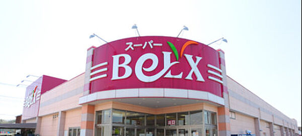 画像20:BeLX（ベルクス） 柏つくしが丘店（431m）