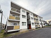 テレパレス柏てるて３の賃貸物件