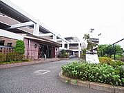 サフィールフォーレ６５の賃貸物件