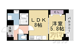 JR山陰本線 亀岡駅 徒歩6分の賃貸マンション 5階1LDKの間取り