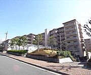 桂駅より徒歩88分 7階 築36年3ヶ月の賃貸物件