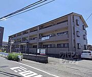 ロイヤルパレス馬堀 2階 築30年3ヶ月の賃貸物件