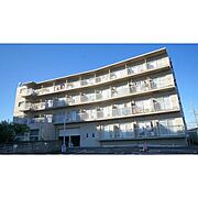 NOVA ERA 4階 築35年7ヶ月の賃貸物件