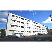 ベルエール上浜 2階 築42年6ヶ月の賃貸物件