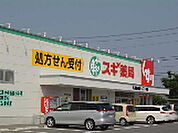 ドラックストア「スギ薬局久居新町店まで1244ｍ」