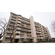 上浜団地 8階 築48年5ヶ月の賃貸物件