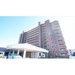 サンマンションアトレ桜橋 1階/-