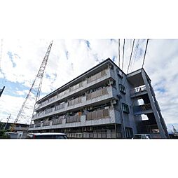 ルミエール八幡