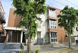 エスペランサＳVIII