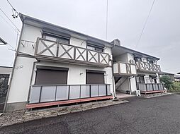 フレグランスオオクラ