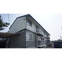 エバーグリーンII 103