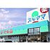 周辺：ドラックストア「ドラッグスギヤマときわ店まで591ｍ」