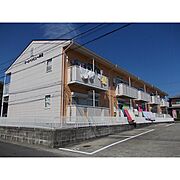 オーシャンビュー岸岡 2階 築32年11ヶ月の賃貸物件