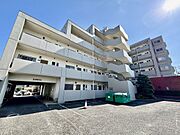 ロイヤル太平洋マンション 5階 築45年11ヶ月の賃貸物件