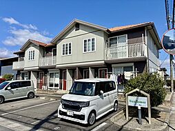 Ｓｕｎｆｌｏｗｅｒ