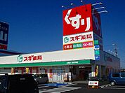 ドラックストア「スギ薬局鈴鹿寺家店まで843ｍ」