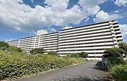 向島駅より徒歩18分 築46年2ヶ月 11階建の賃貸物件