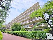 伏見稲荷駅より徒歩8分 築43年8ヶ月 7階建の賃貸物件