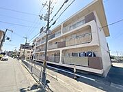 シロハイヌ向島 1階 築40年6ヶ月の賃貸物件
