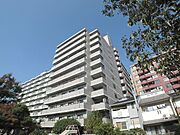 フォルム五条通り 7階 築34年4ヶ月の賃貸物件