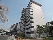 向島駅より徒歩6分 6階 築46年9ヶ月の賃貸物件