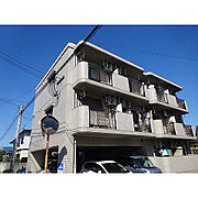 シャトレ麦野 2階 築34年1ヶ月の賃貸物件