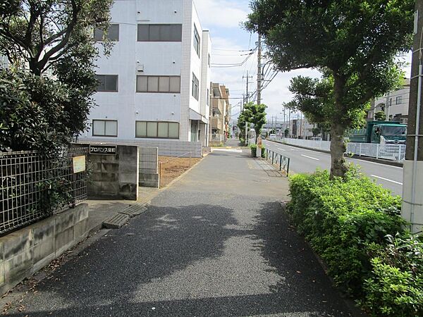 歩道を撮影。
