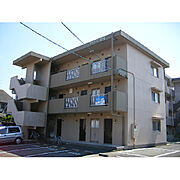 サンテラス初生 1階 築36年7ヶ月の賃貸物件