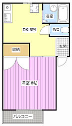 コーポアネシス 1DKの間取図画像
