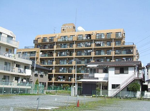 ライオンズマンション与野本町(3LDK) 2階の外観
