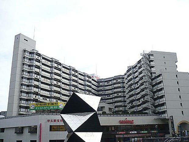 川越駅前脇田ビル(2LDK) 11階の外観
