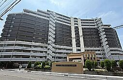 シーズガーデングリーンパティオ