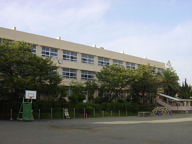 【小学校】三浦市立名向小学校まで978ｍ