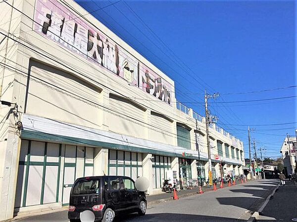 スーパー マルエツ 高根台店まで徒歩約12分（810m）
