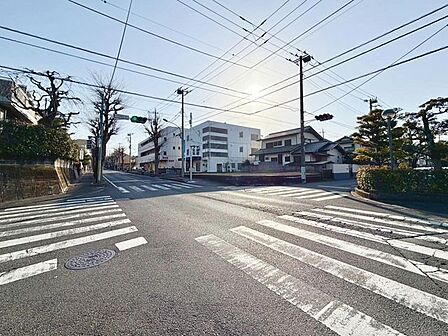 信号
