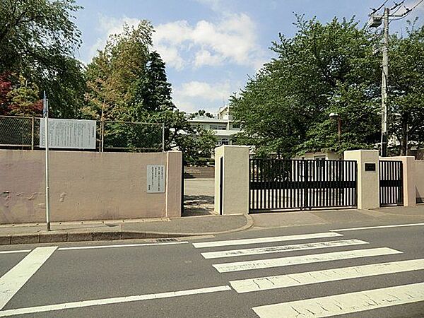 松戸市立第一中学校 徒歩13分 1040m