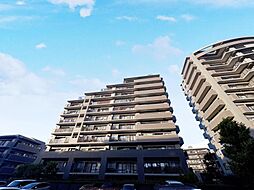 エヴァ—グリーンアペックス　4