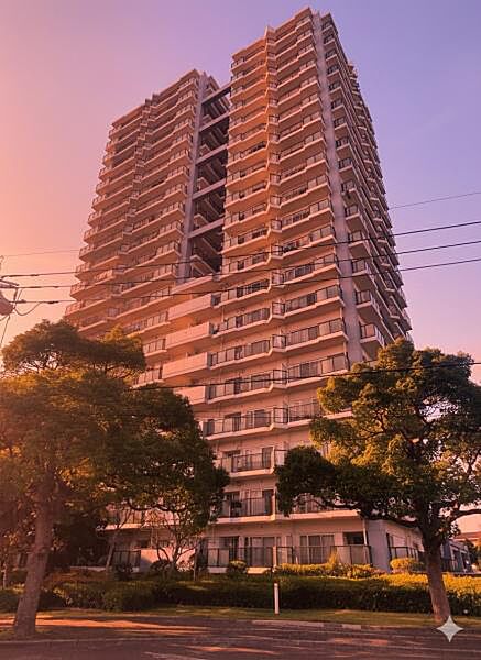 外観：312001142582