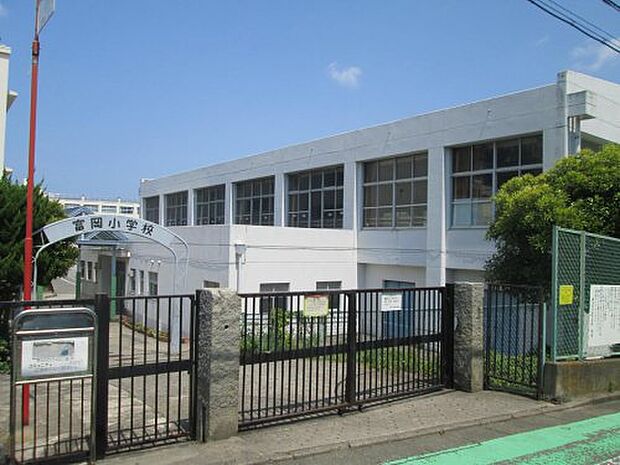 【小学校】横浜市立富岡小学校まで452ｍ