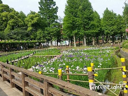 しょうぶ沼公園 徒歩5分。 380m