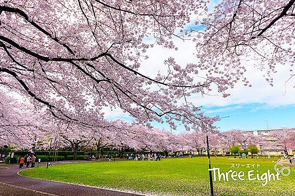 花畑公園 徒歩7分。 560m